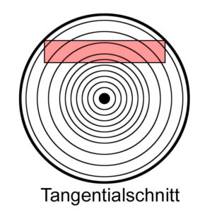 Abb.: Von oben: Lage eines Bretts mit Tangentialschnitt im Holzstamm; Brettbewegung bei Quellung respektive Schwund